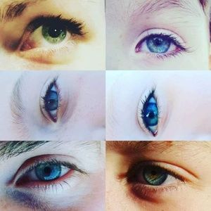 Meet your Posher, Josephine